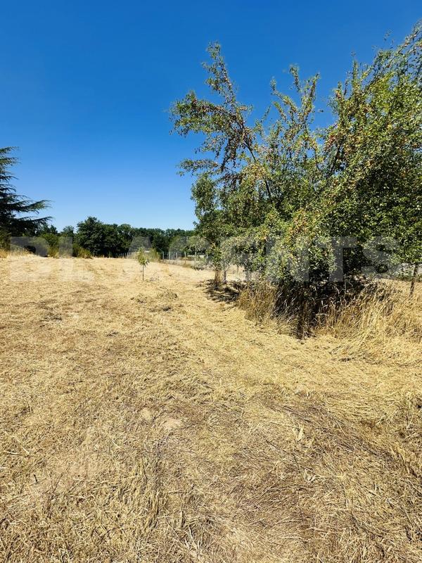 Pavillon - 150 m² - 6 pièces