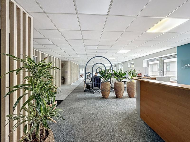 Bureau - 305 m²