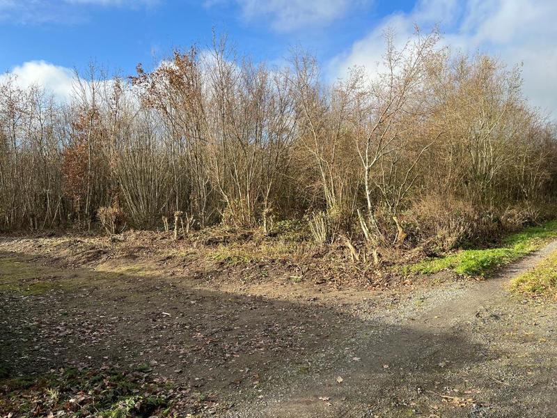 Terrain constructible - 2 520 m²