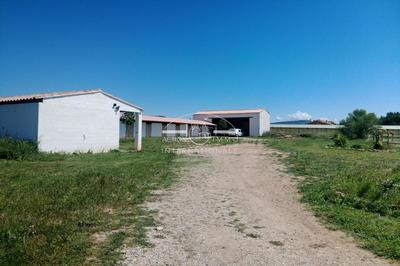 Maison de domaine équestre - 400 m² - 14 pièces