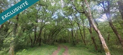 Terrain - 697 767 m²