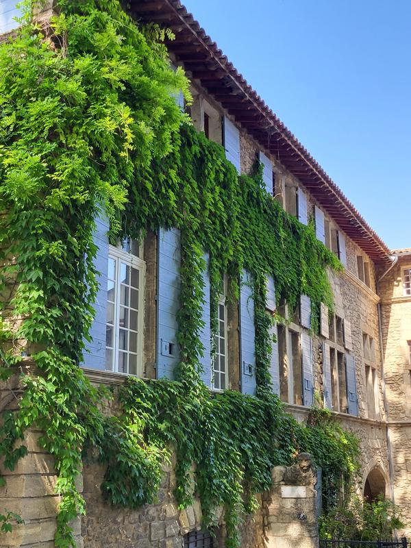 Les Lambesc'apades : les végétaux ornementaux de Lambesc !