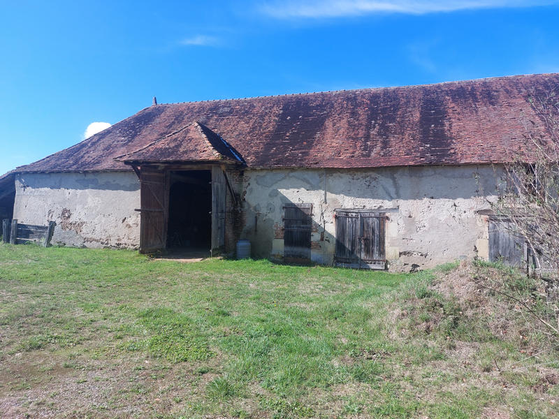 Viager - Maison - 200 m² - 6 pièces