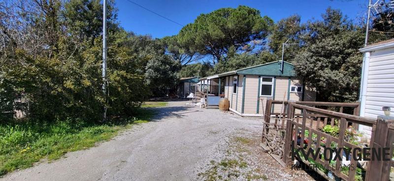 Propriété - 800 m²