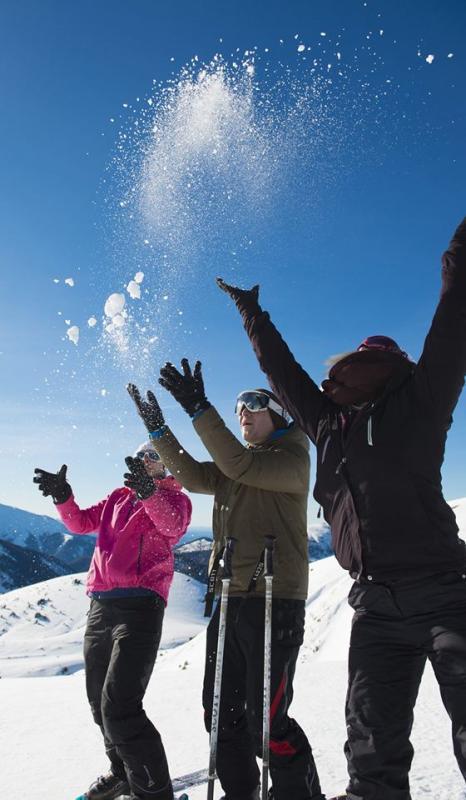 Appartement - 24 m² - 1 pièce