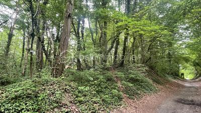 Terrain de loisirs - 1 900 m²