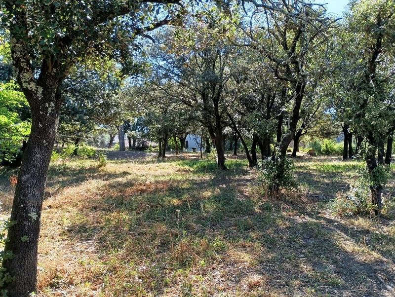 Maison - 127 m² - 5 pièces