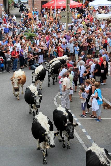 Fête de la transhumance et de la tourte