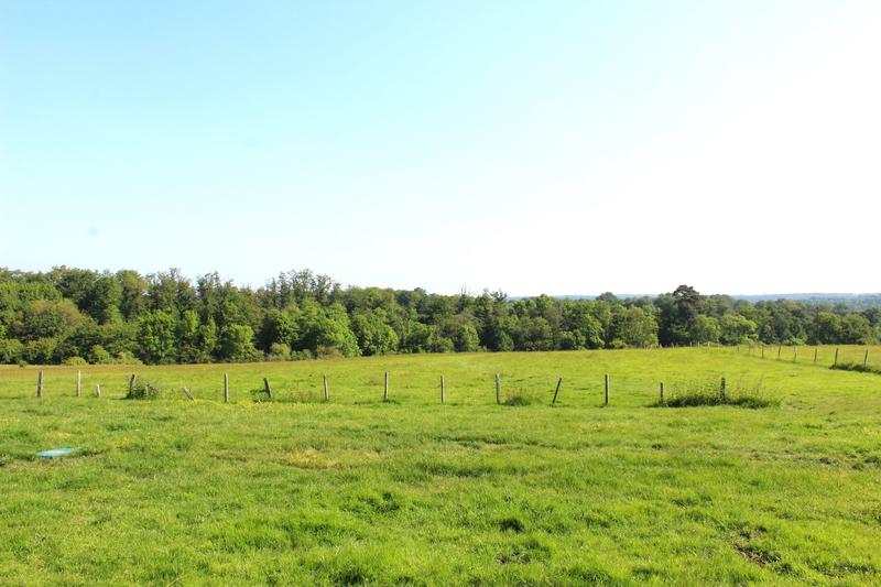 Maison de domaine - 534 m² - 13 pièces