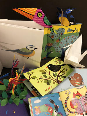 Ciné-conte &quot;Portrait d’oiseaux&quot;