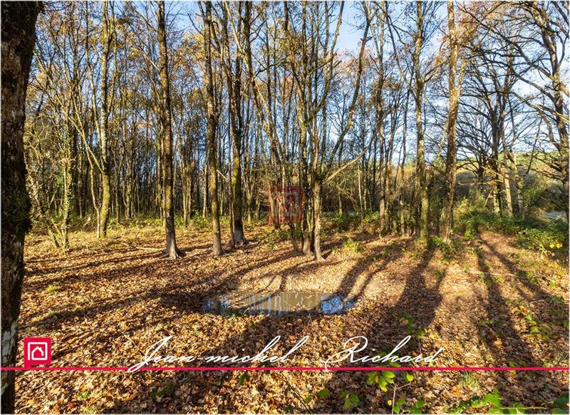 Étang - 166 990 m²