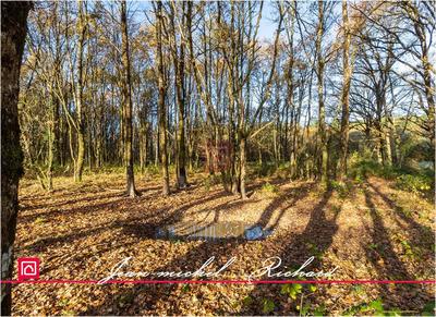 Étang - 166 990 m²