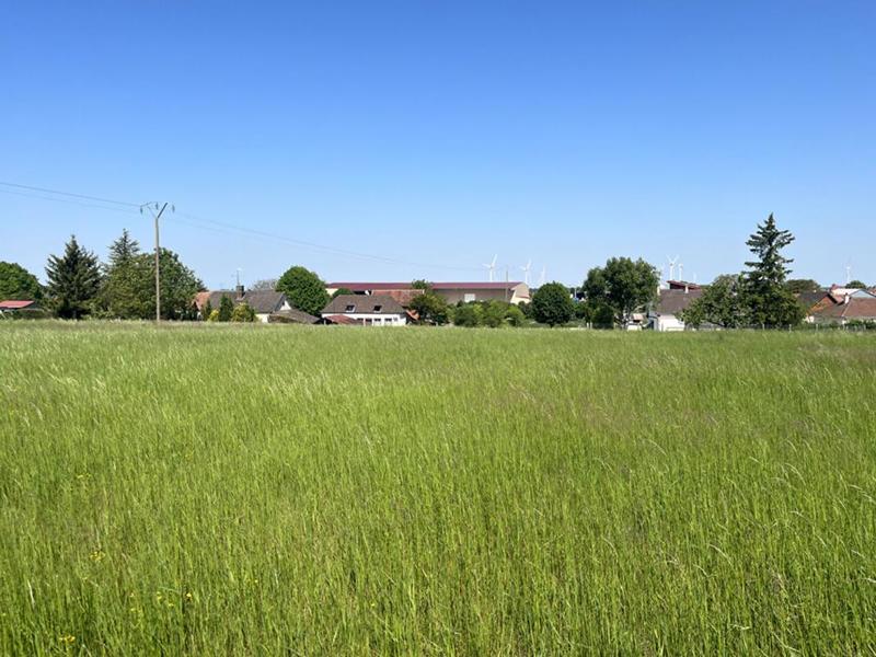 Terrain constructible - 7 090 m²