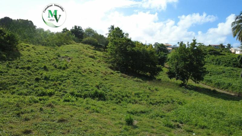Terrain constructible - 1 241 m²