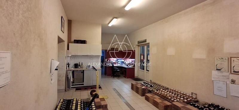 Propriété - 650 m² - 8 pièces