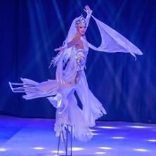 Triumph : le Cirque sur Glace