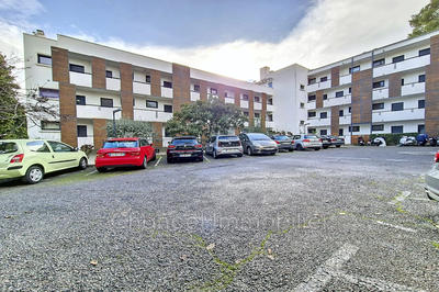 Appartement - 28 m² - 1 pièce