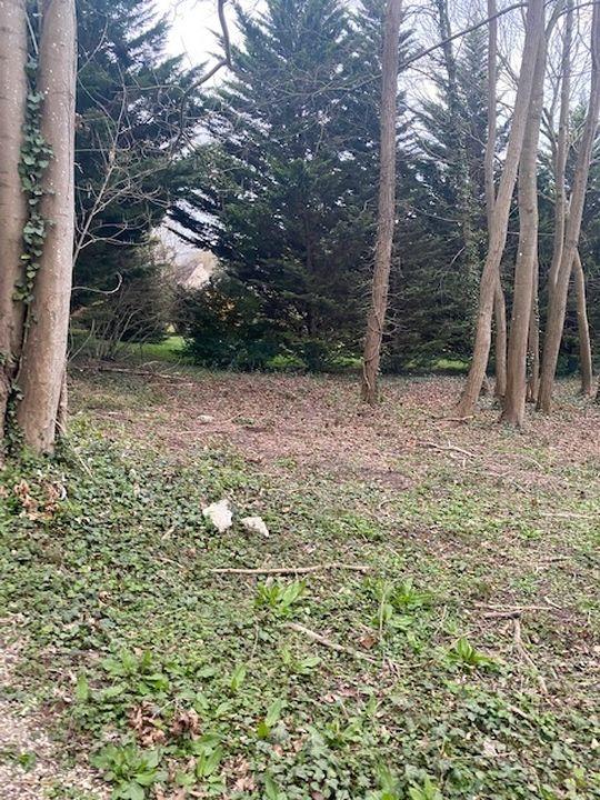 Terrain de loisirs - 1 614 m²