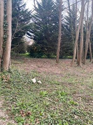 Terrain de loisirs - 1 614 m²