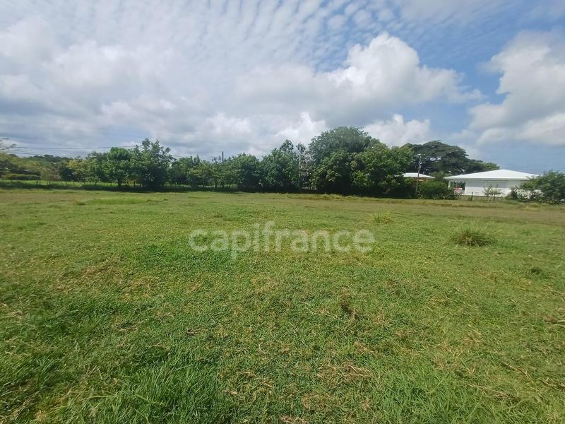 Terrain constructible - 1 000 m²