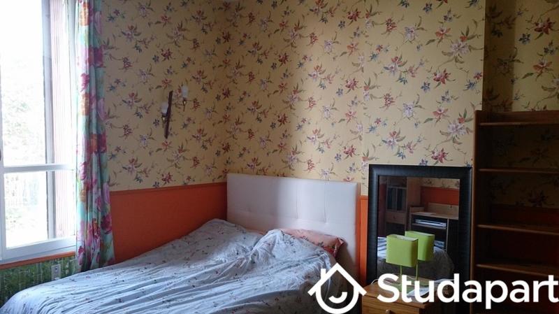 Chambre - 20 m² - 1 pièce