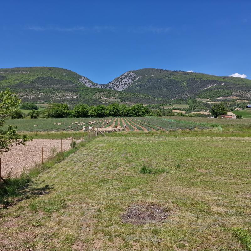 Maison - 65 m² - 4 pièces