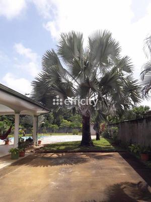 Maison - 103 m² - 7 pièces