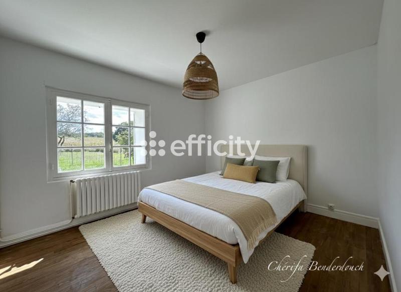 Maison en pierre - 147 m² - 8 pièces