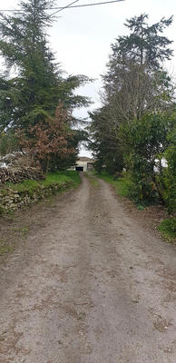 Propriété - 395 m² - 10 pièces