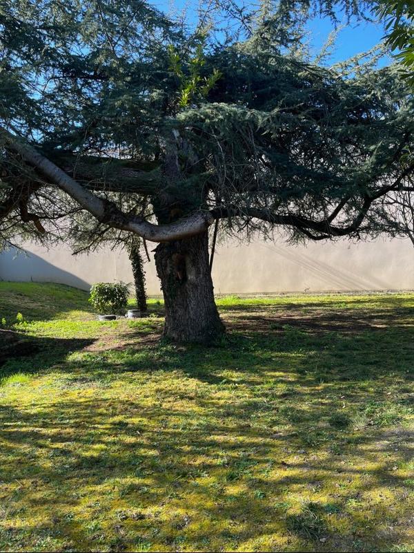 Maison - 74 m² - 3 pièces