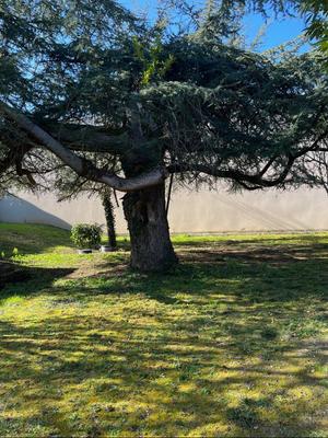 Maison - 74 m² - 3 pièces