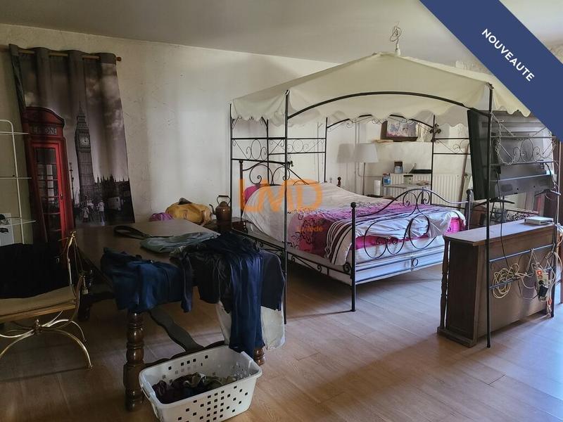 Mas - 350 m² - 6 pièces