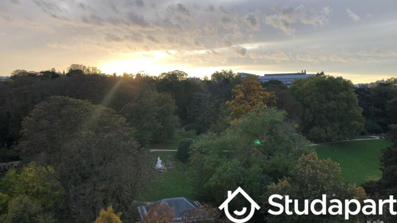 Appartement - 10 m² - 1 pièce