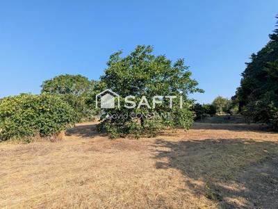 Terrain - 1 073 m²