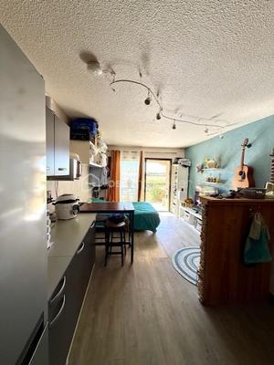 Studio - 24 m² - 1 pièce