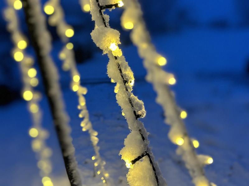 Brico-poney spécial Noël - la magie de l'hiver !