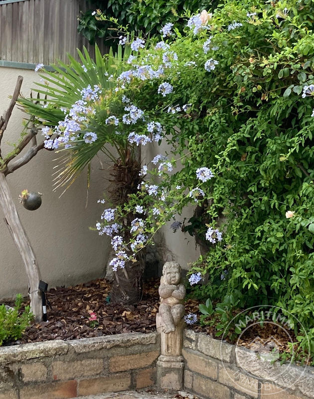 Maison ancienne - 130 m² - 6 pièces