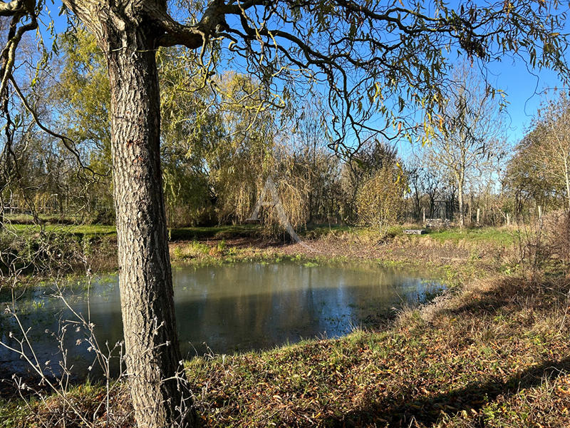 Maison - 176 m² - 6 pièces