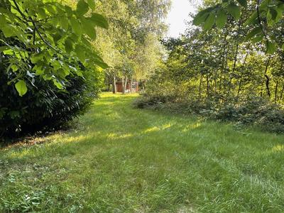 Terrain de loisirs - 5 100 m²