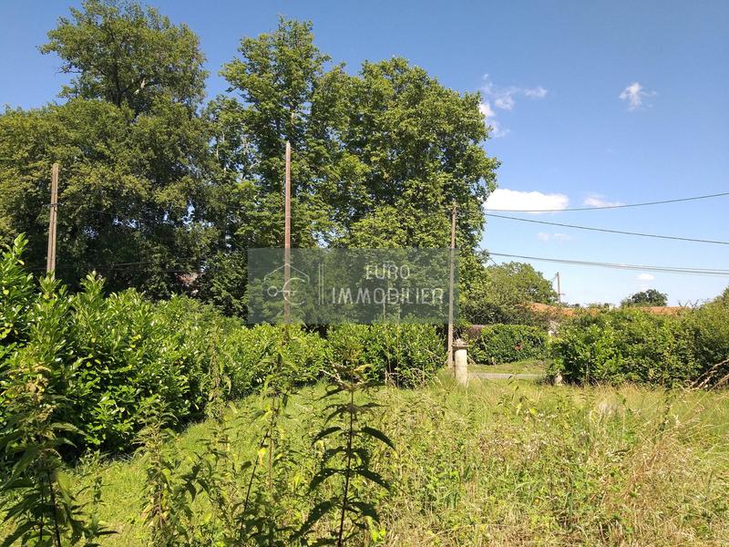 Maison ancienne - 200 m² - 5 pièces