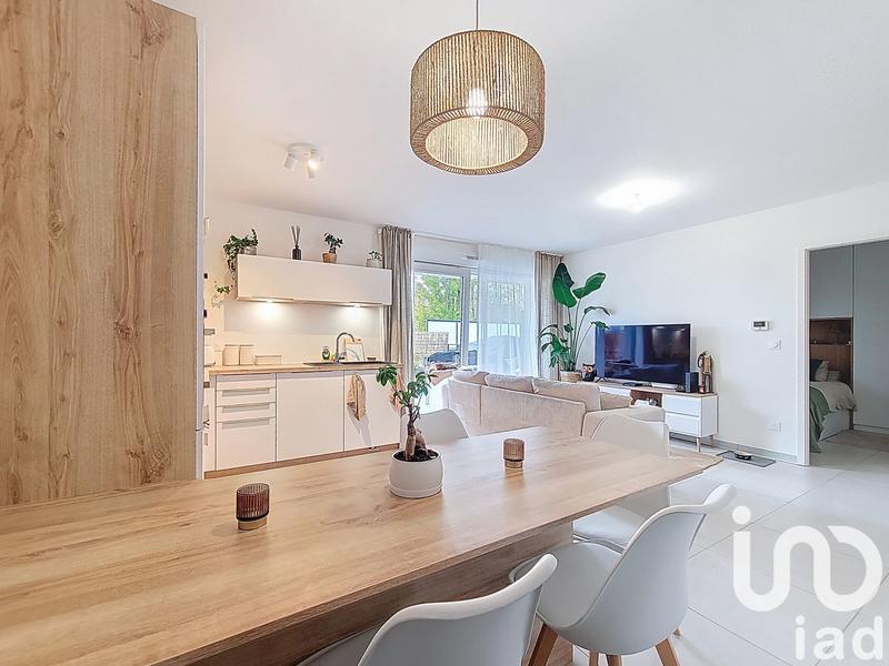 Appartement - 49 m² - 2 pièces