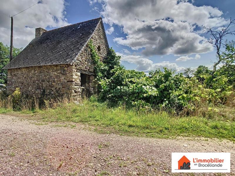 Longère - 250 m² - 5 pièces