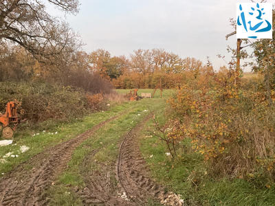 Ferme - 70 m² - 4 pièces