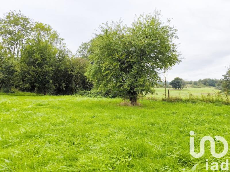 Maison de campagne - 250 m² - 4 pièces