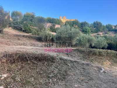 Terrain agricole - 1 786 m²