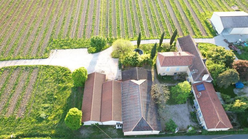 Propriété viticole - 310 m² - 15 pièces