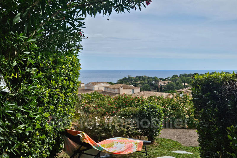 Appartement - 23 m² - 1 pièce