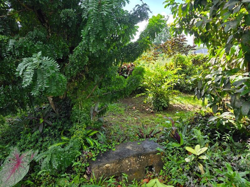 Villa - 180 m² - 9 pièces