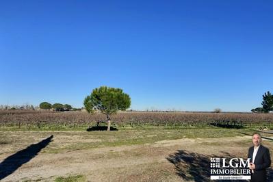 Mas - 375 m² - 16 pièces