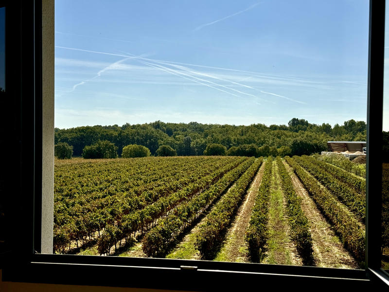 Villa - 135 m² - 5 pièces